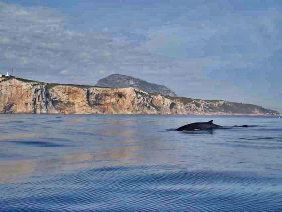 La Naranja Denia 1ªlinea De Playa -Wifi- Parking Free公寓 外观 照片